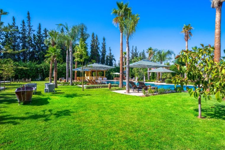 The main lawn and the palms of the estate