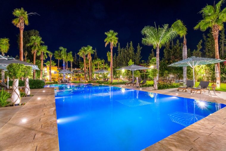 The pool lit at nightfall, palms in silhouette