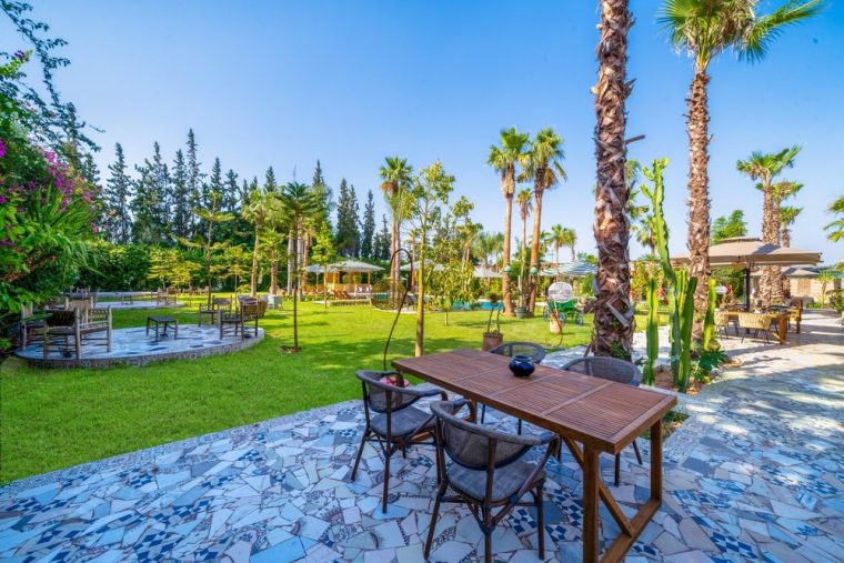 Lunch set out on the long wooden table under the palms