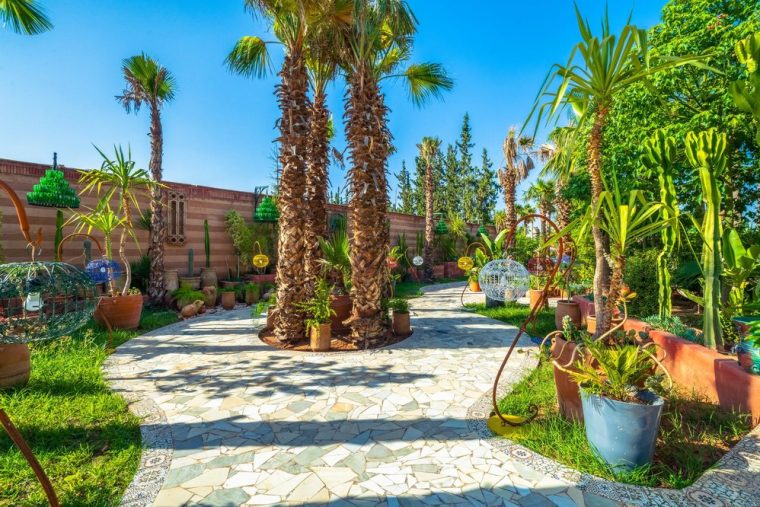 Stone path between cacti and flowering borders