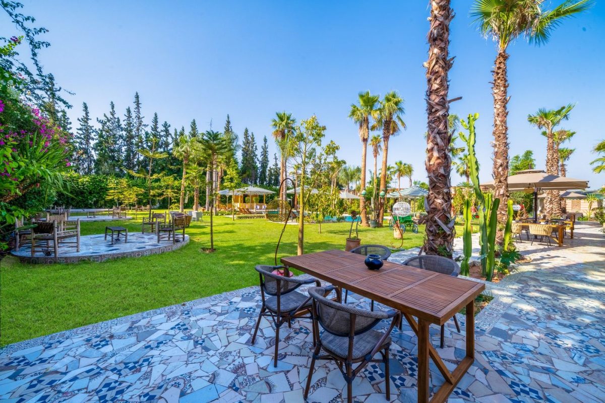 A long table dressed under the palms for a celebration in the gardens