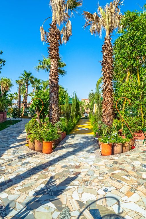Stone path between cacti and potted plants in the gardens