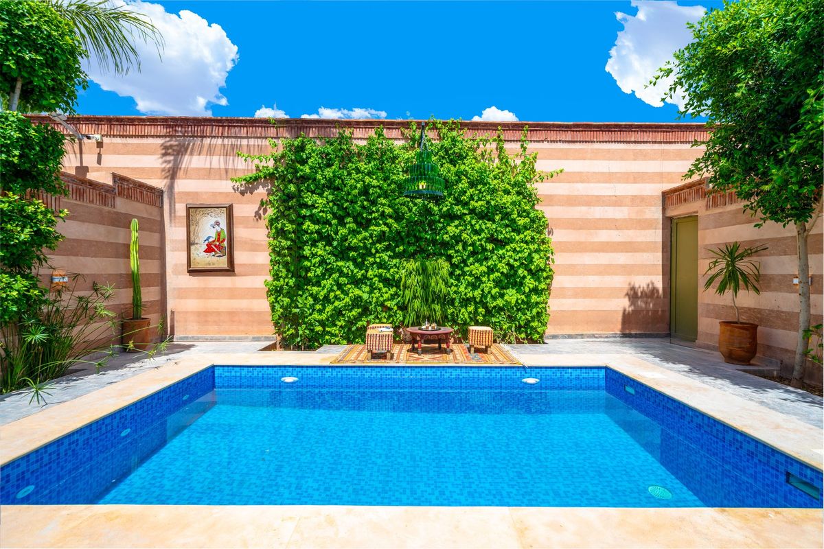 Private pool bordered by climbing greenery in a suite courtyard