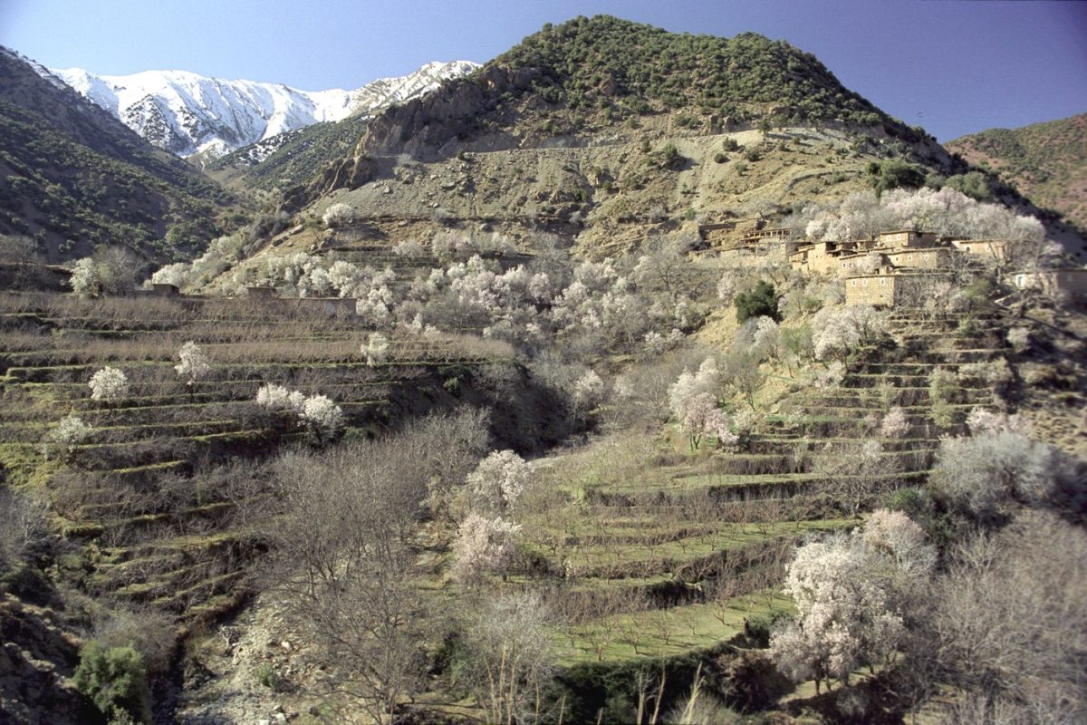 River and green slopes of the Ourika valley in the High Atlas